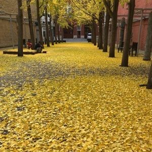 Meet your Posher, Della